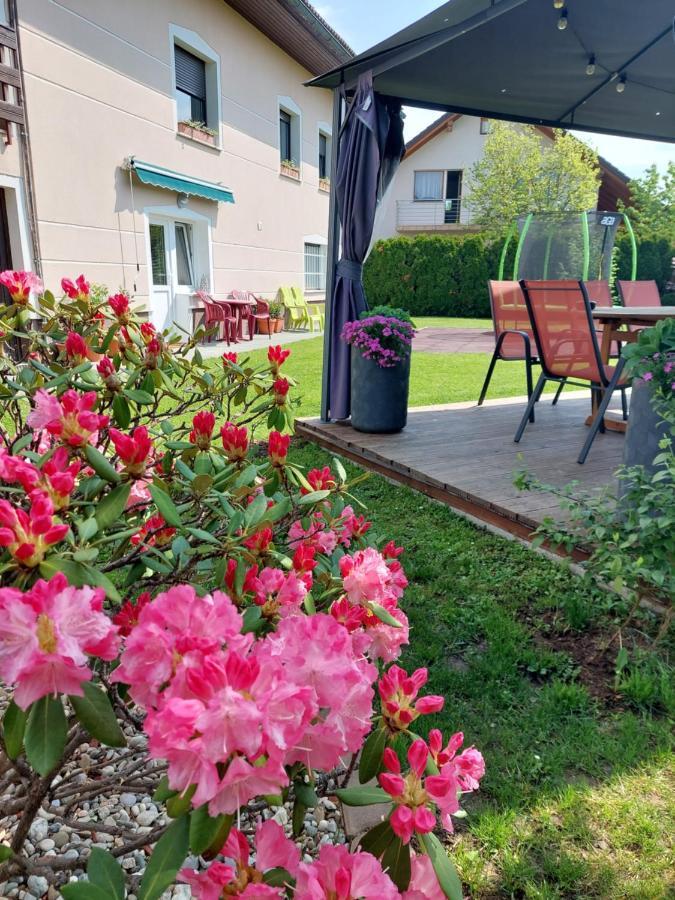 Studio Apartma Zirovnik سيركلجي نا جورينجسكيم المظهر الخارجي الصورة