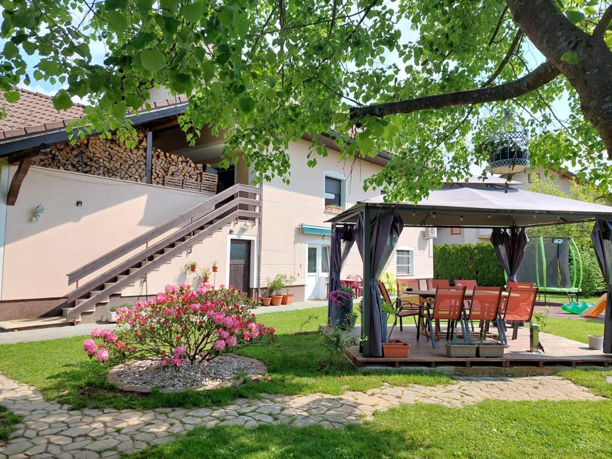 Studio Apartma Zirovnik سيركلجي نا جورينجسكيم المظهر الخارجي الصورة